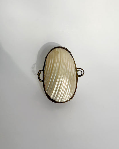 Antique c.1900 Mother of Pearl Shell Box
