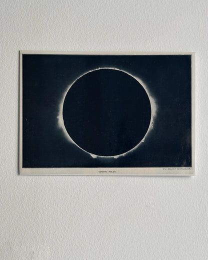 Antique 1929 Solar Eclipse Astronomy Print – Corona Solar Scientific Illustration