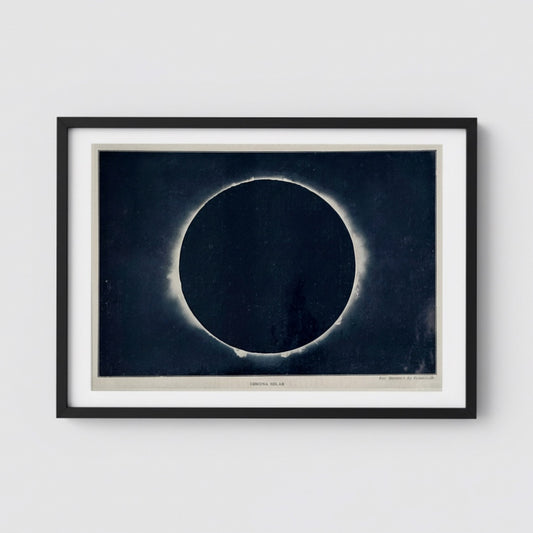 Antique 1929 Solar Eclipse Astronomy Print – Corona Solar Scientific Illustration