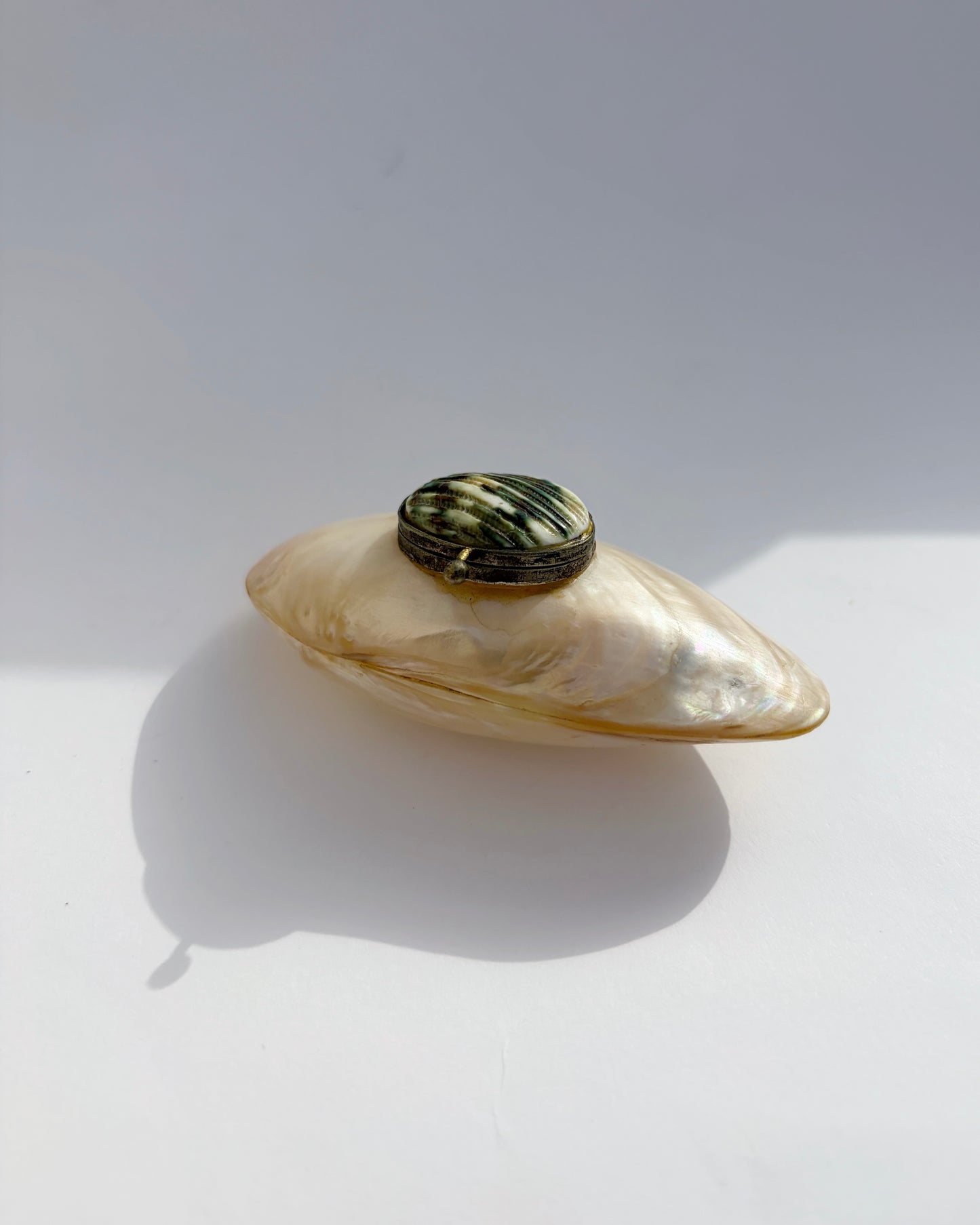 Antique Late 19th Century Mother-of-Pearl Shell Snuff Box