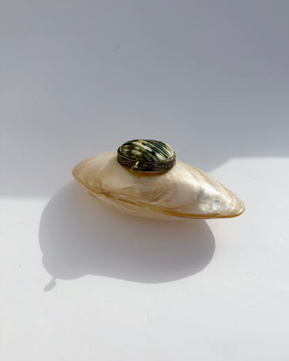 Antique Late 19th Century Mother-of-Pearl Shell Snuff Box