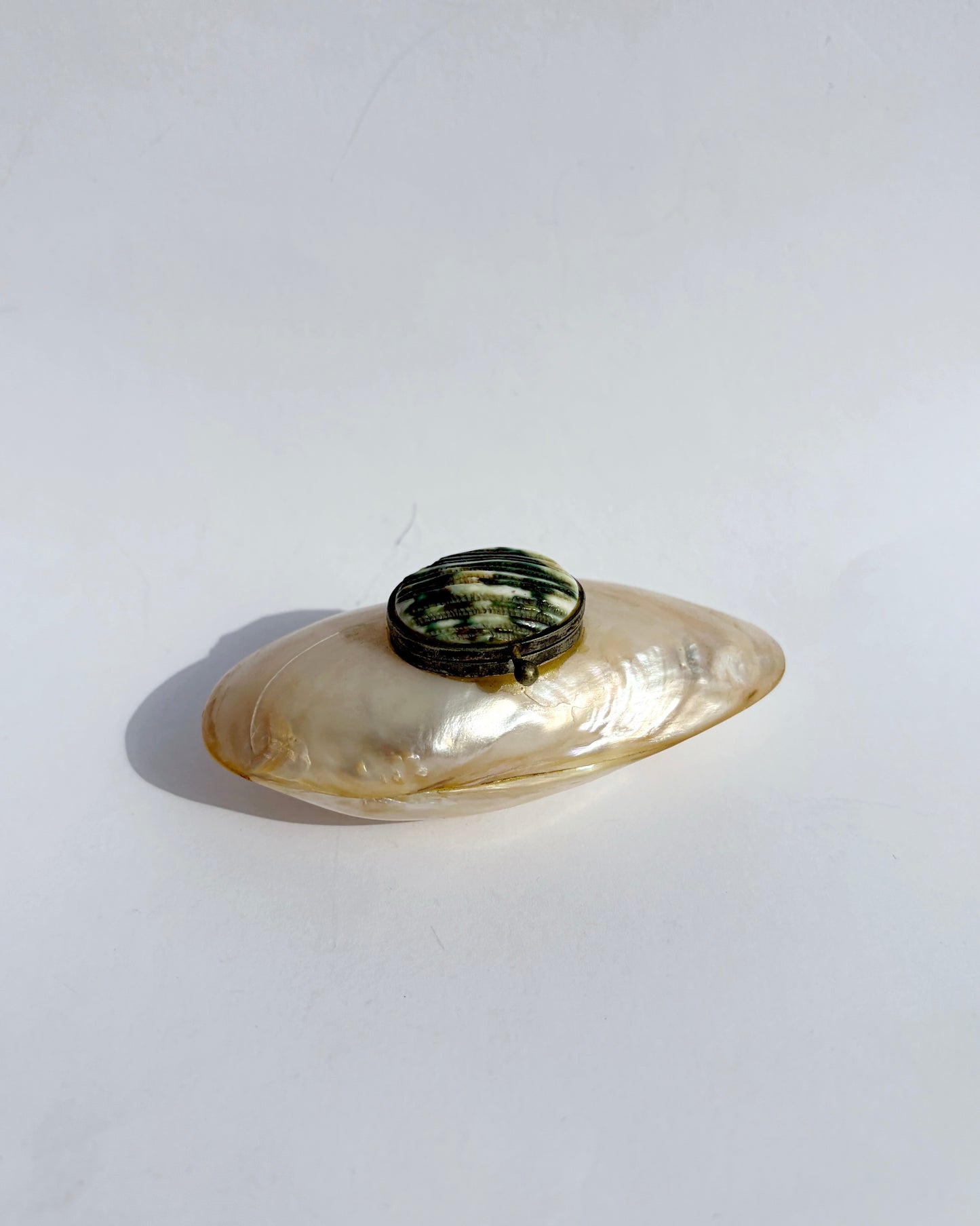Antique Late 19th Century Mother-of-Pearl Shell Snuff Box