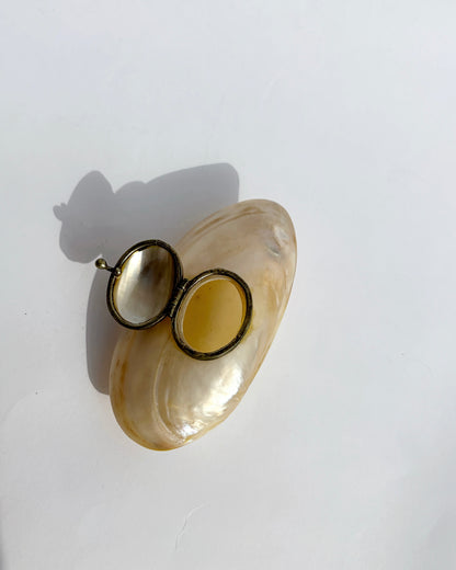 Antique Late 19th Century Mother-of-Pearl Shell Snuff Box