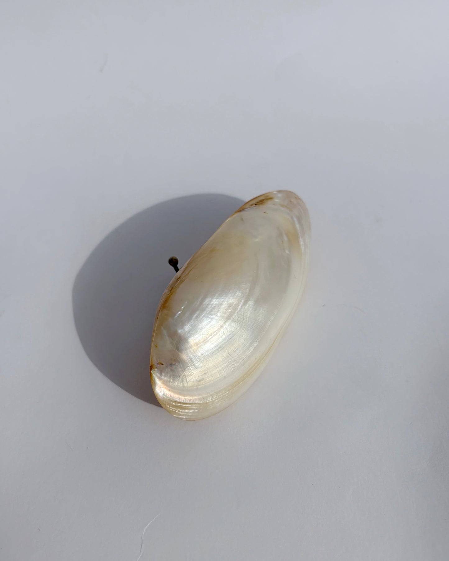 Antique Late 19th Century Mother-of-Pearl Shell Snuff Box