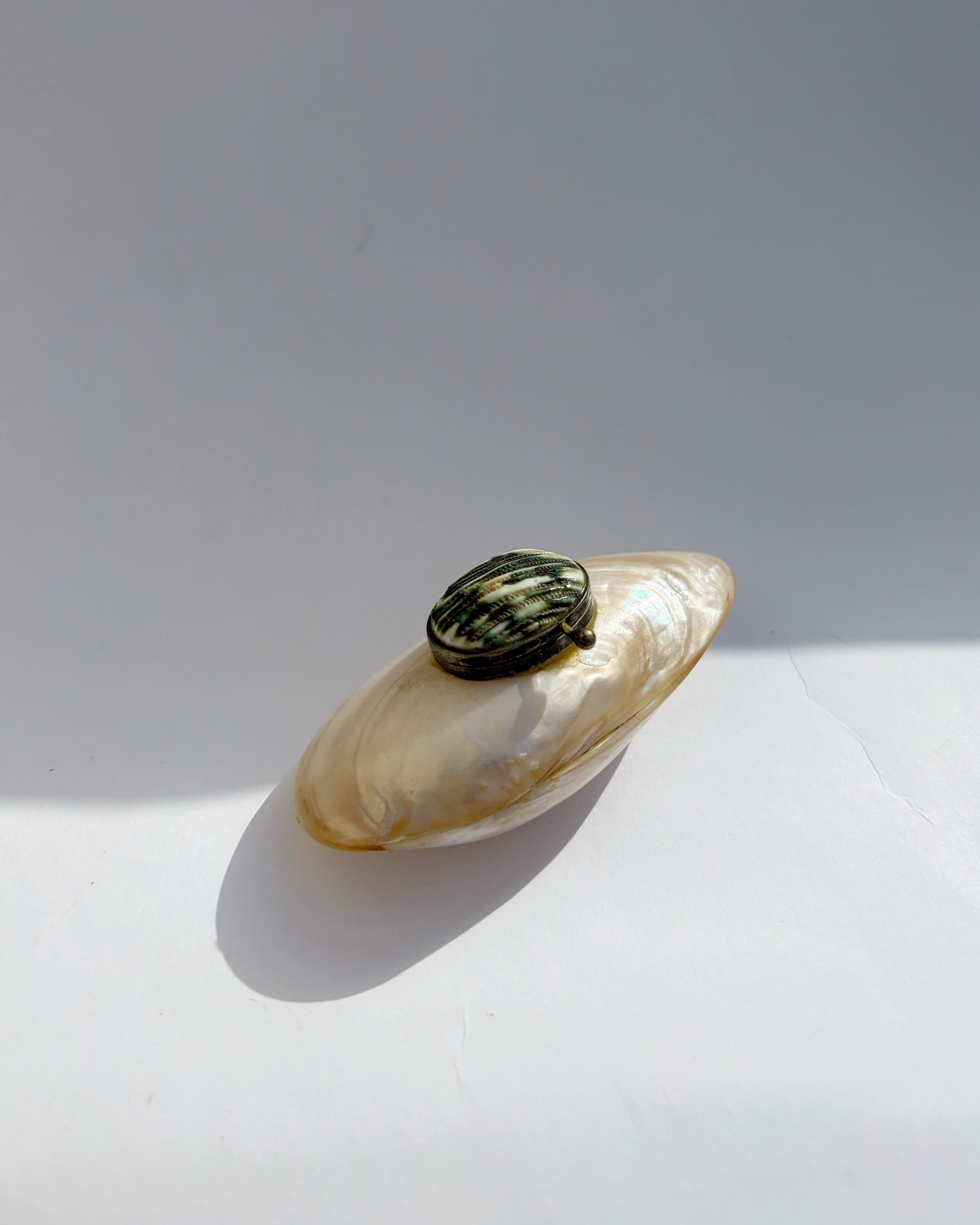 Antique Late 19th Century Mother-of-Pearl Shell Snuff Box – Alba