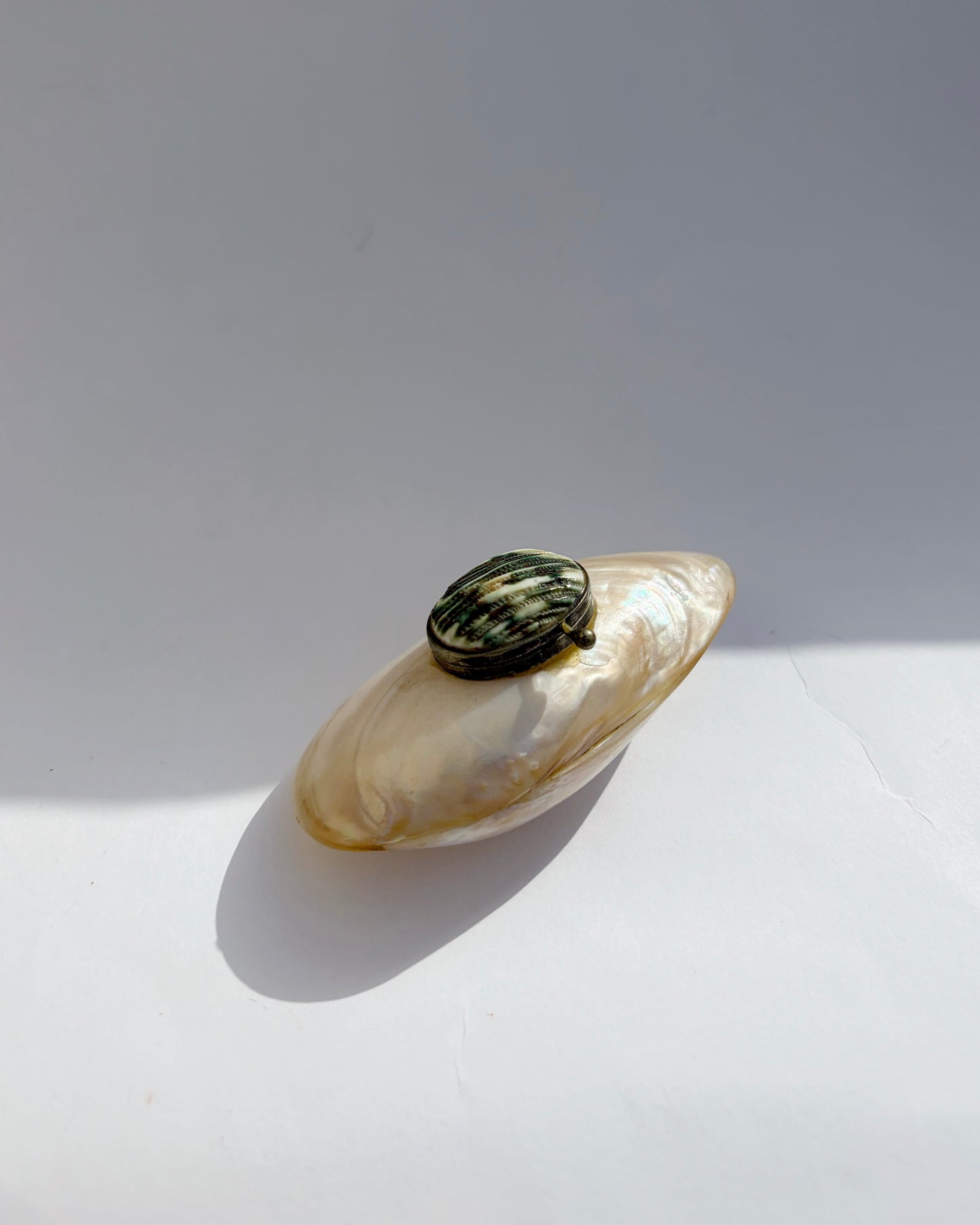 Antique Late 19th Century Mother-of-Pearl Shell Snuff Box