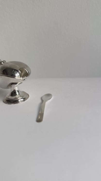 Vintage Metal Salt Cellar with Spoon