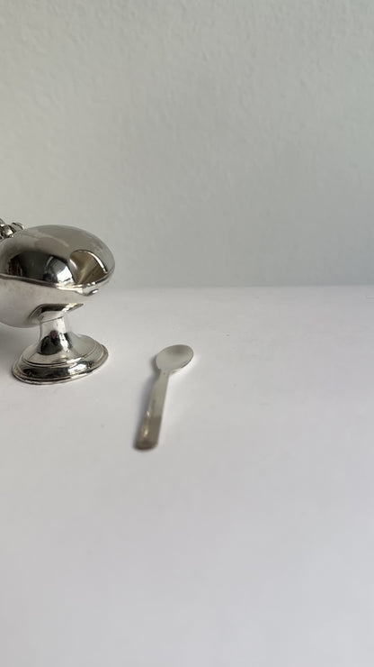 Vintage Metal Salt Cellar with Spoon