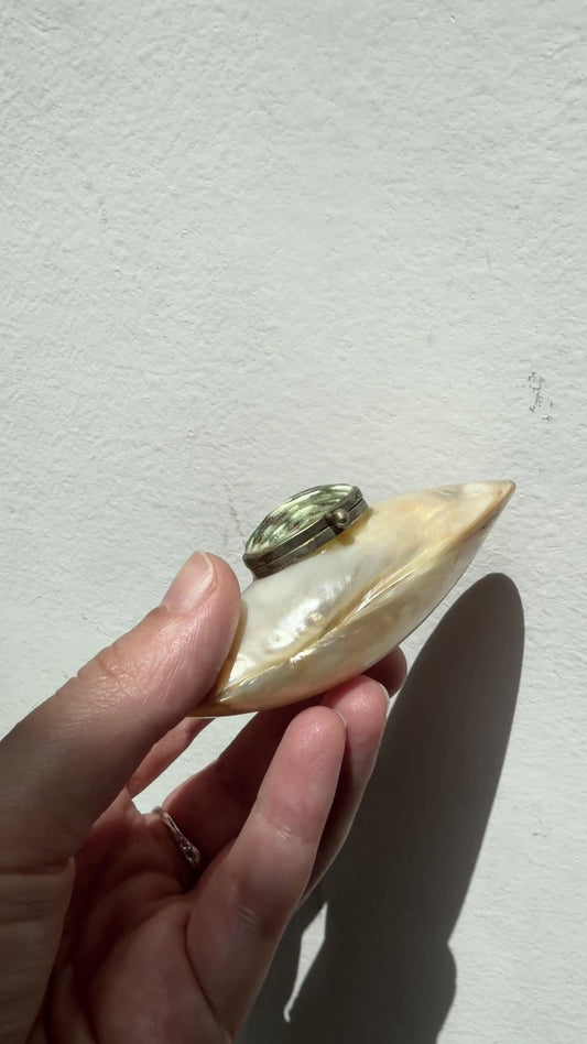 Antique Late 19th Century Mother-of-Pearl Shell Snuff Box
